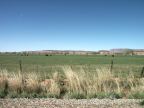 Fredonia Farmland
