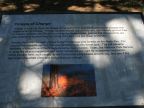 Click to Read Sign