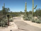 Desert Discovery Trail