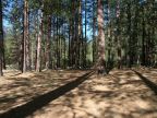 Valley Loop Trail