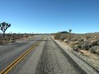 Joshua Tree