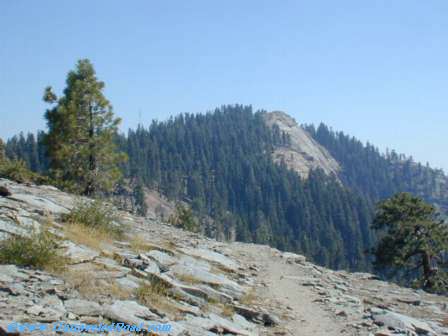 Ahead view