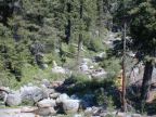 Clover Creek