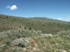 Left view