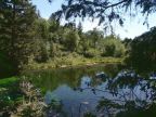 Blue Pond Spring