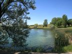 Springfield Lake