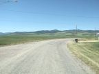 Fish Creek Mountains