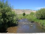 Cassia Creek
