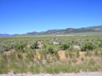 Cotterel Mountains