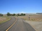 Bruneau Sand Dunes