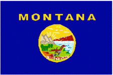 flag