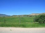 Lucerne Valley