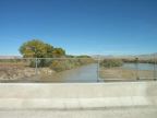 The Green River