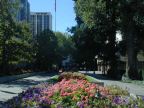 Temple Square