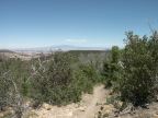 Trail 020