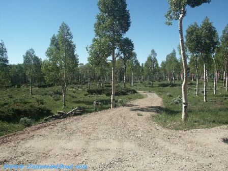Ahead view