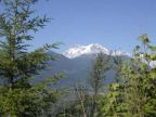 Mt. Rainier