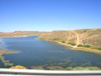 Lake Viva Naughton