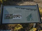 Click to Read Sign